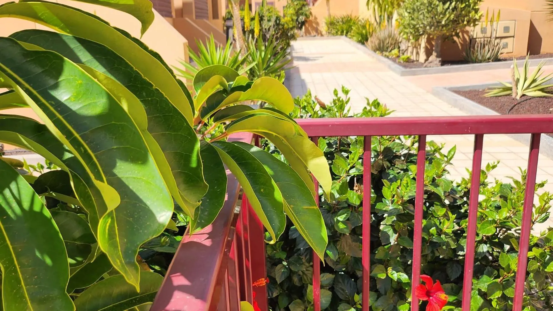 Oro De La Bahia Apartamento Caleta De Fuste 0*,  Espanha